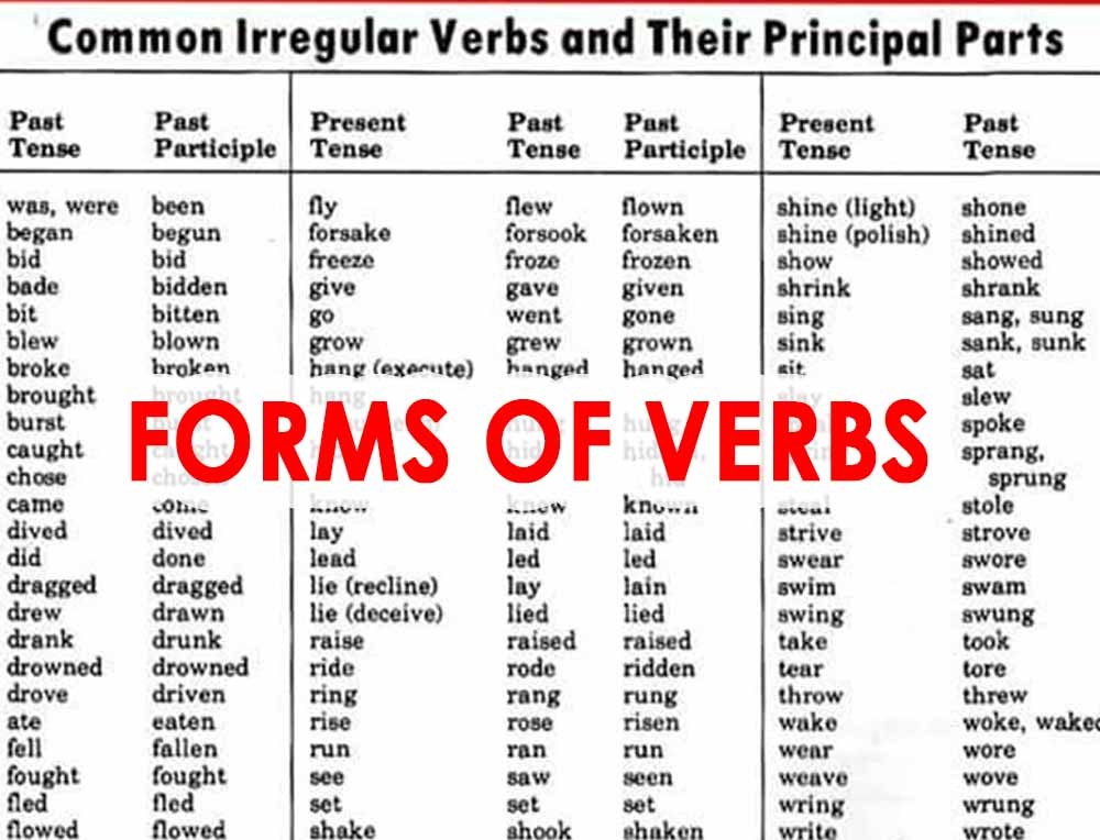 FORMS OF VERBS