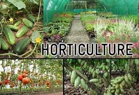 AGRICULTURE VOCABULARY