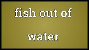 WATER IDIOMS